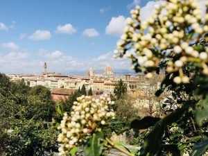 Stadtblick Florenz Italien