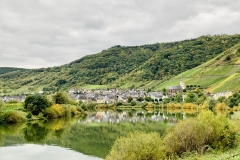 Blick auf Bremm an der Mosel