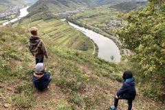 Panoramablick an der Moselschleife