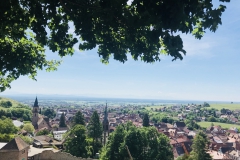 Panoramablick von Ribeauvillé