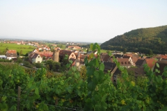 Kaysersberg aus den Weinbergen