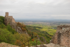 Blick von der Burg