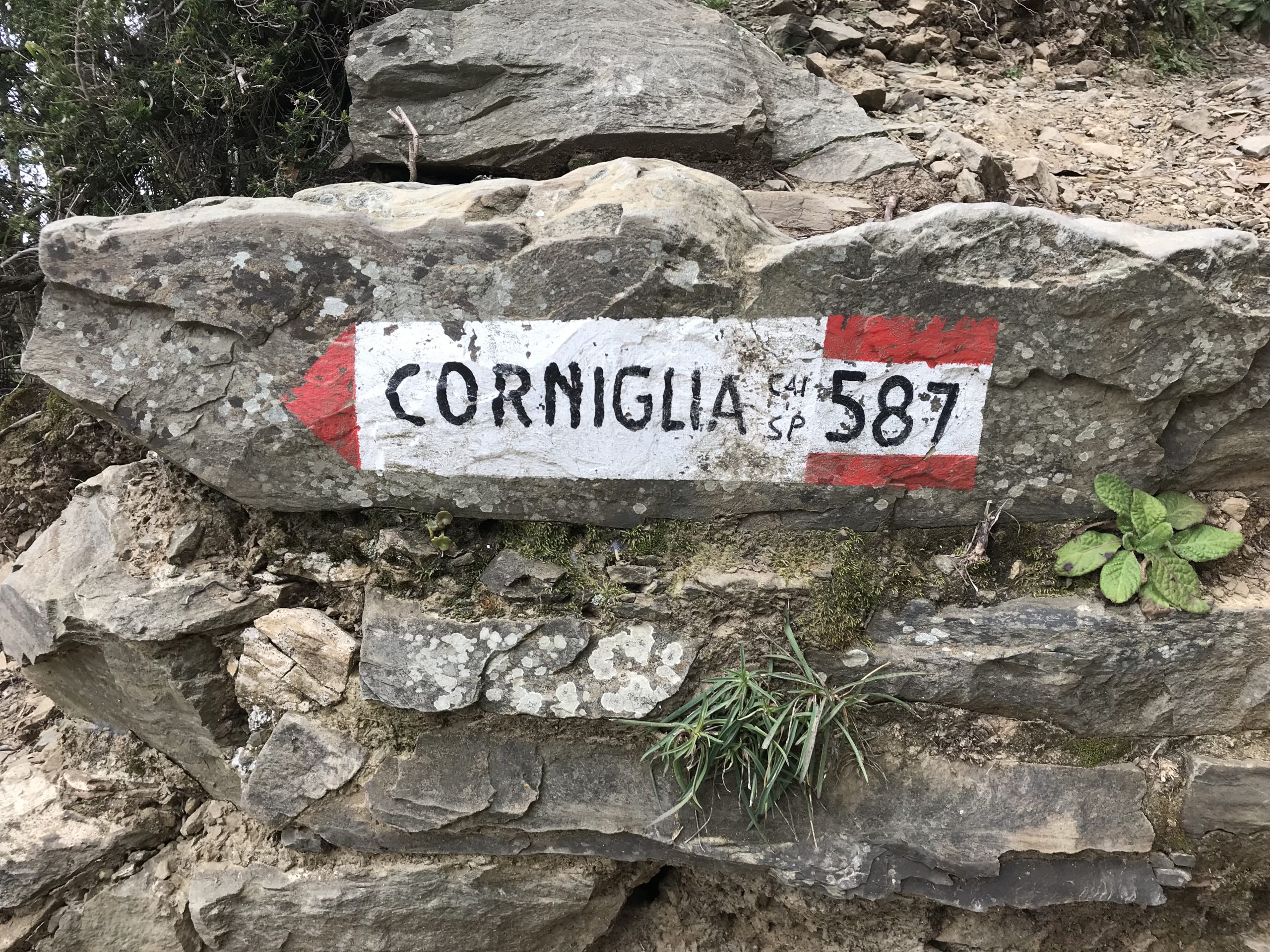 Roadtrip mit Kindern - Wegweiser nach Corniglia