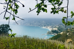 Blick auf Monterosso al Mare