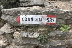 Roadtrip mit Kindern - Wegweiser nach Corniglia