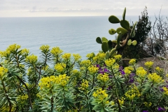 Der Blick auf die Weiten des Mittelmeers von Corniglia aus