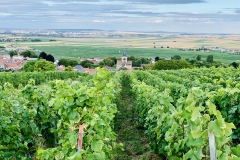 Europa Roadtrip 2019 - Weinberge, Champagne