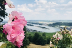 Wandertour Niederwalddenkmal