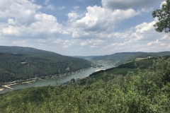 Wandertour Niederwalddenkmal Rheinblick