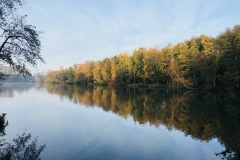 Herbstliche Morgenstimmung am Borner