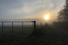 Sonnenaufgang beim Rundweg um den Borner See im Naturpark Schwalm-Nette