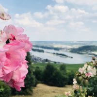 Wandertour Niederwalddenkmal
