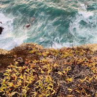 Europa Roadtrip 2019 - Wo das Meer auf Fels trifft, Algarve, Portugal