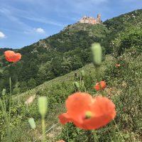 Wanderweg zur Ulrichsburg