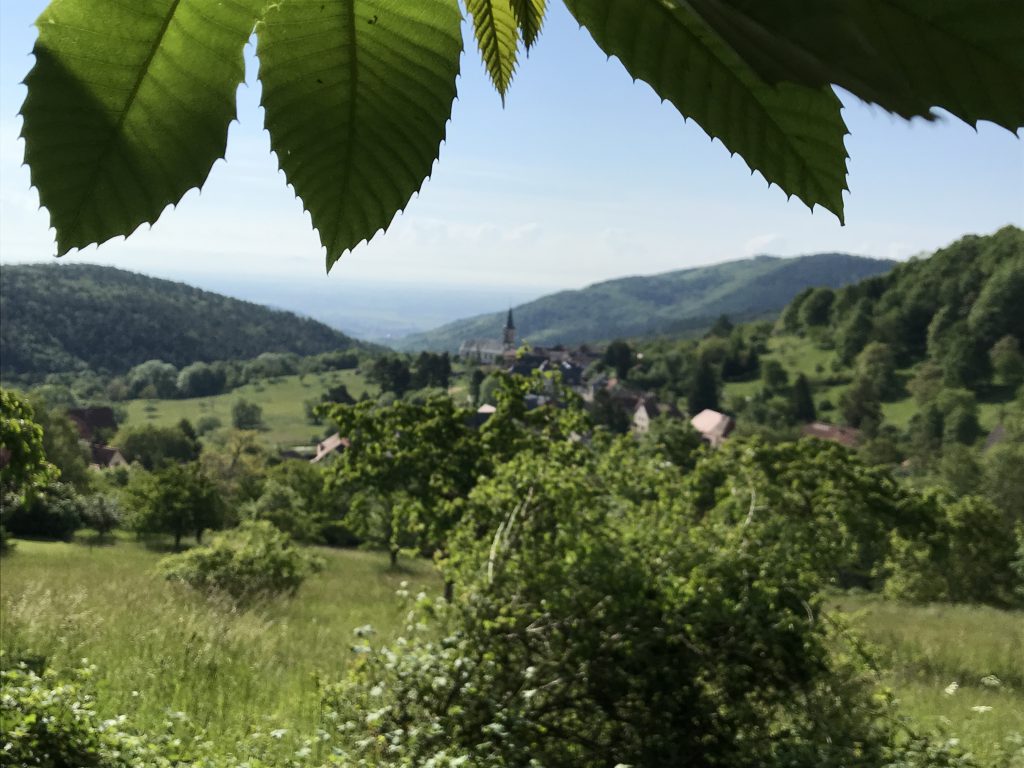 Ausblick vom Wanderweg in Thannenkirch Elsass