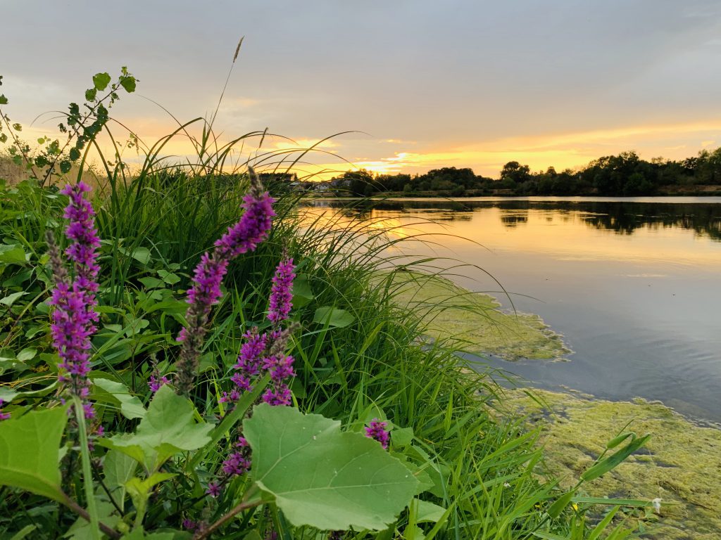 Europa Roadtrip 2019 - Sonnenuntergang an der Loire