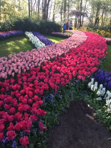 schön angelegter Tulpengarten in Keukenhof, Lisse