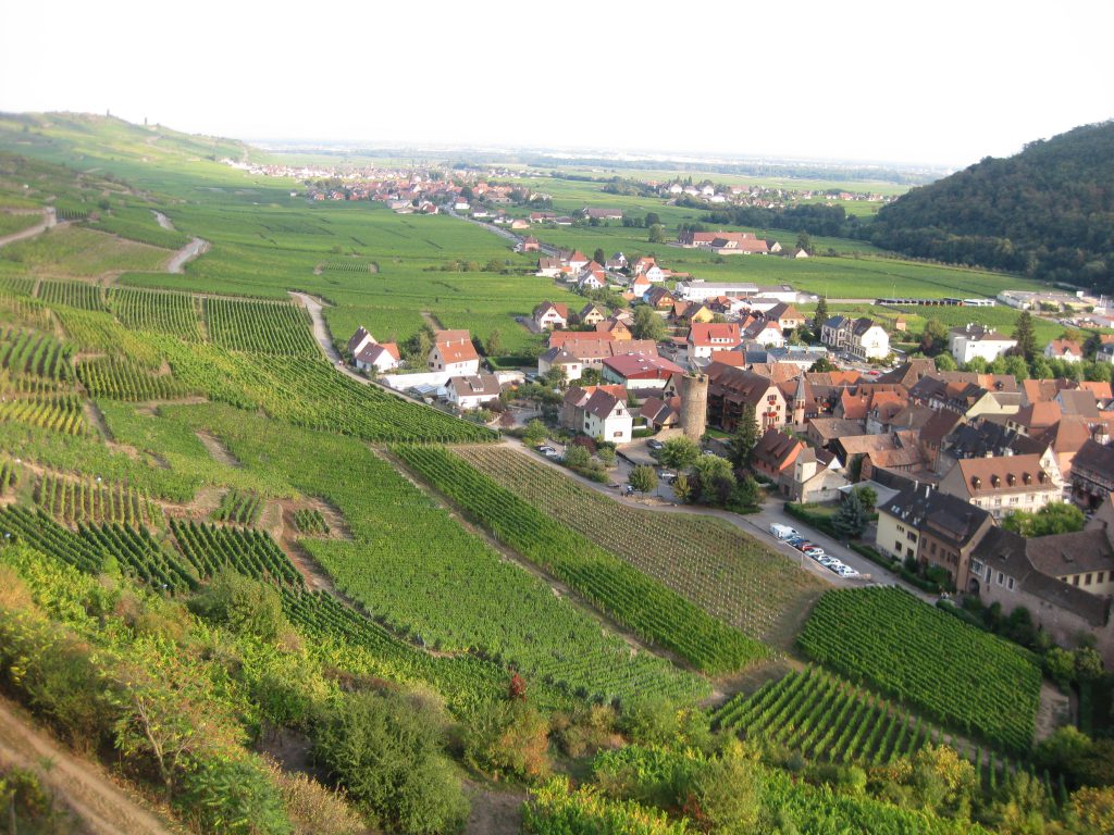 Kaysersberg, Elsass von oben