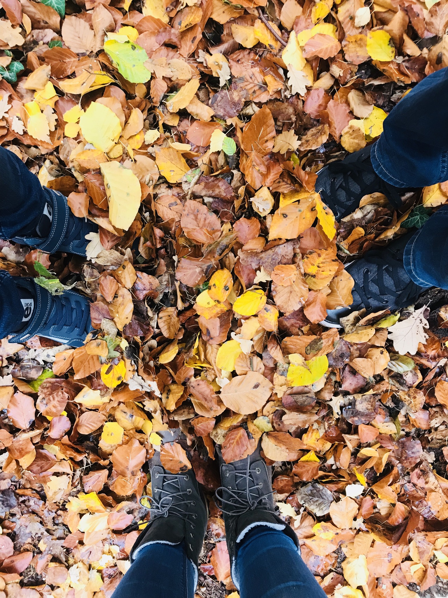 Was tun min Herbst? Tipps für Kinder