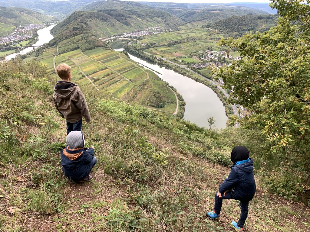 Panoramablick an der Moselschleife