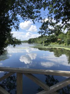 Wunderschöne Kulisse auf dem Rundweg um den Hariksee