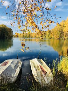 Goldener Herbst am Venekotensee