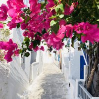 Wunderschöne Gassen durchziehen die Altstadt von Mykonos
