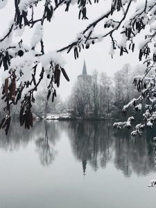 Weiße Pracht im Winter am Borner See