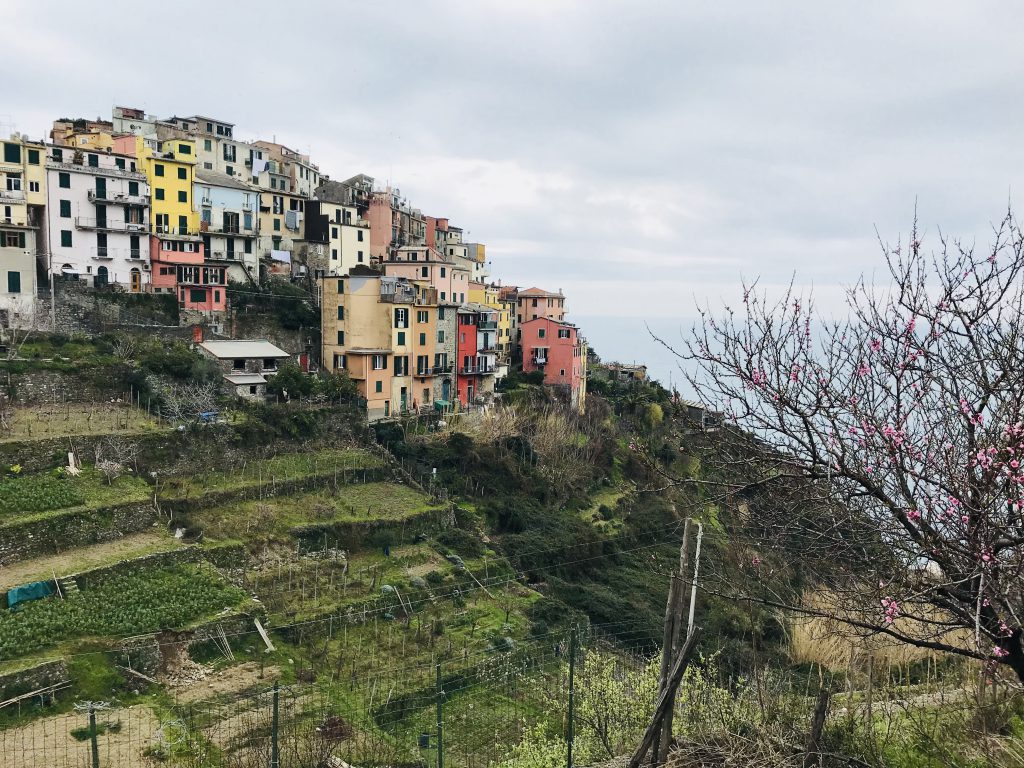 Das bunte Dörfchen Corniglia in der Region Cinque Terre