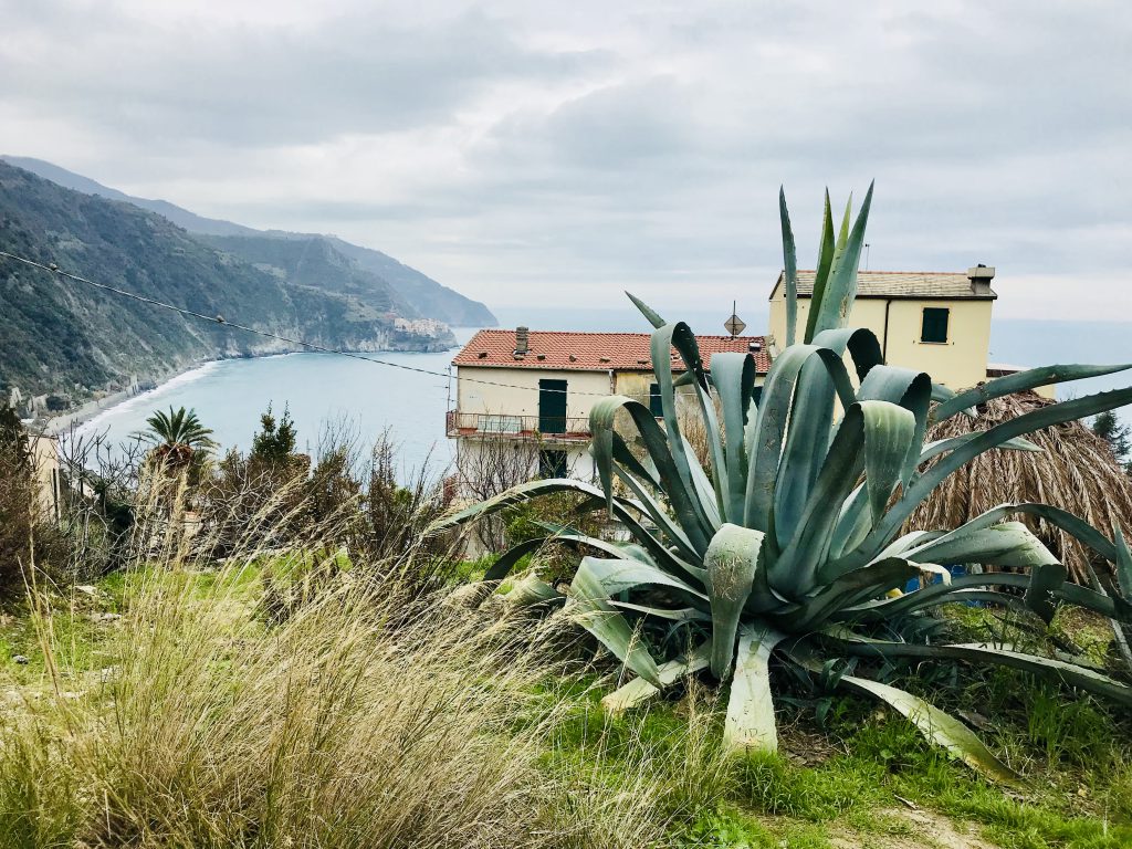 Wandertour durch Cinque Terre über Corniglia