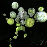 Wildnis(t)räume Ausstellung im Nationalpark Eifel Zentrum Vogelsang