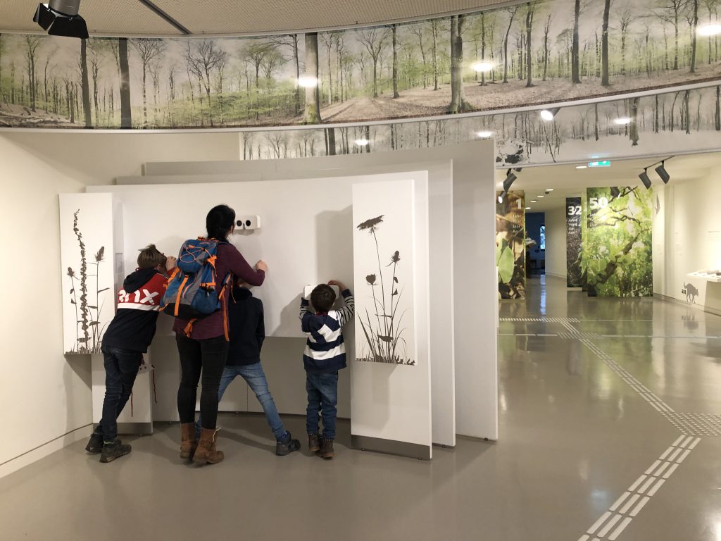 Familie auf Entdeckungstour durch die Wildness(t)räume Ausstellung im Forum Vogelsang IP