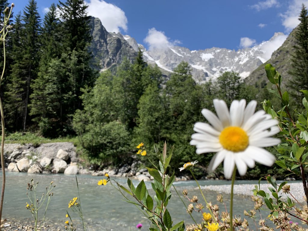 Familienurlaub in den Bergen