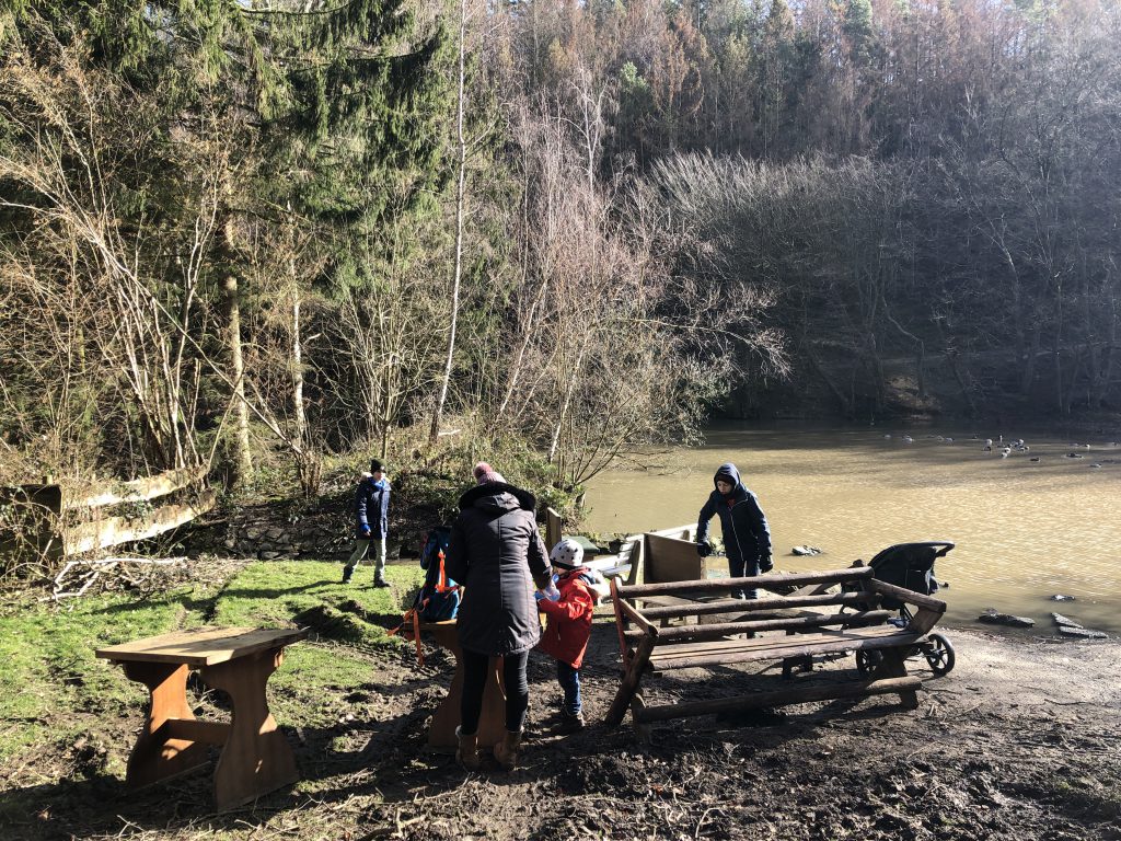 Familien-Picknick im Wildpark Schmidt in der Eifel