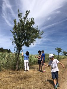 Schönecker Schweiz Wandertour mit Obstbäumen