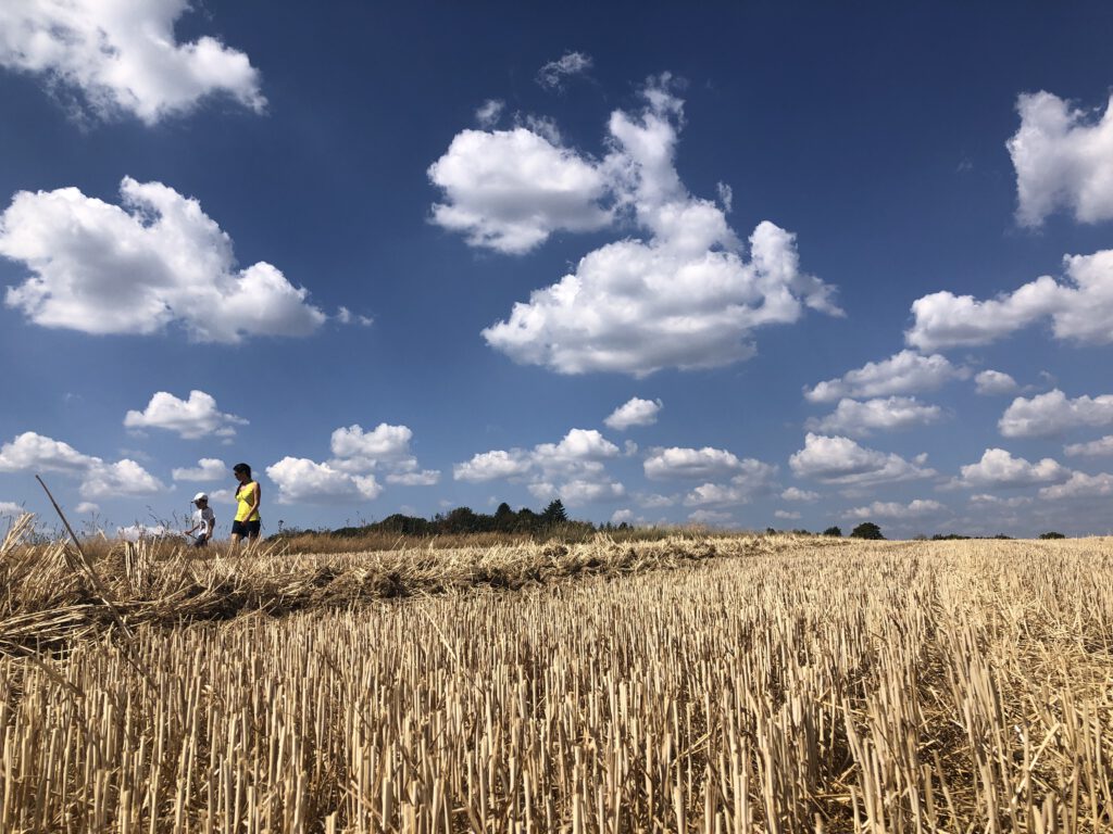 Panoramarundweg Strohner Schweiz, Efiel