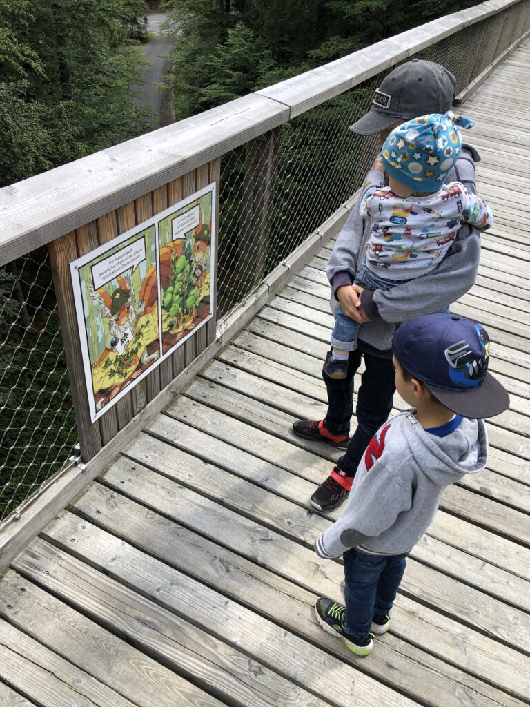 Baumwipfelpfad im Nationalparkzentrum Lusen