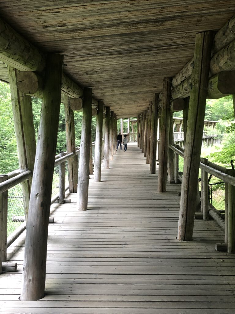 Rundweg des Tierparks Nationalparkzentrum Falkenstein