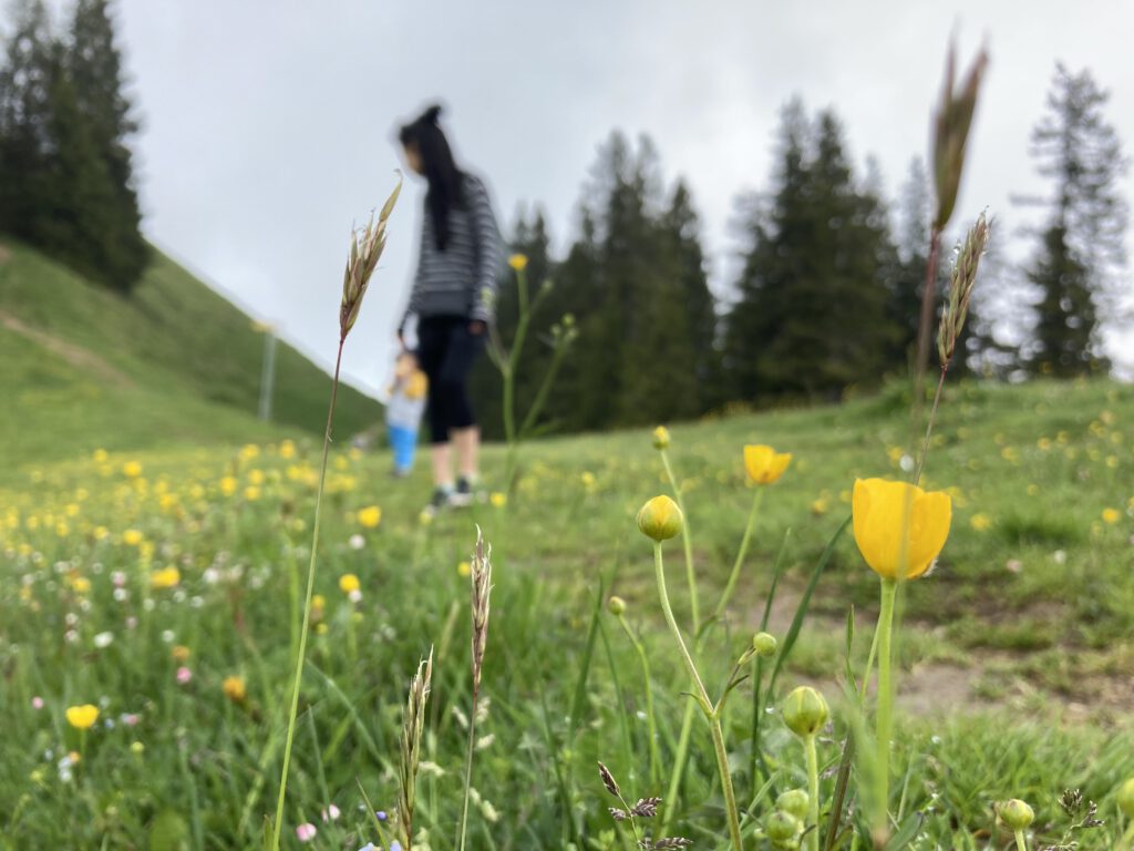 Familienurlaub Bayern - Wanderung auf dem Hörnle