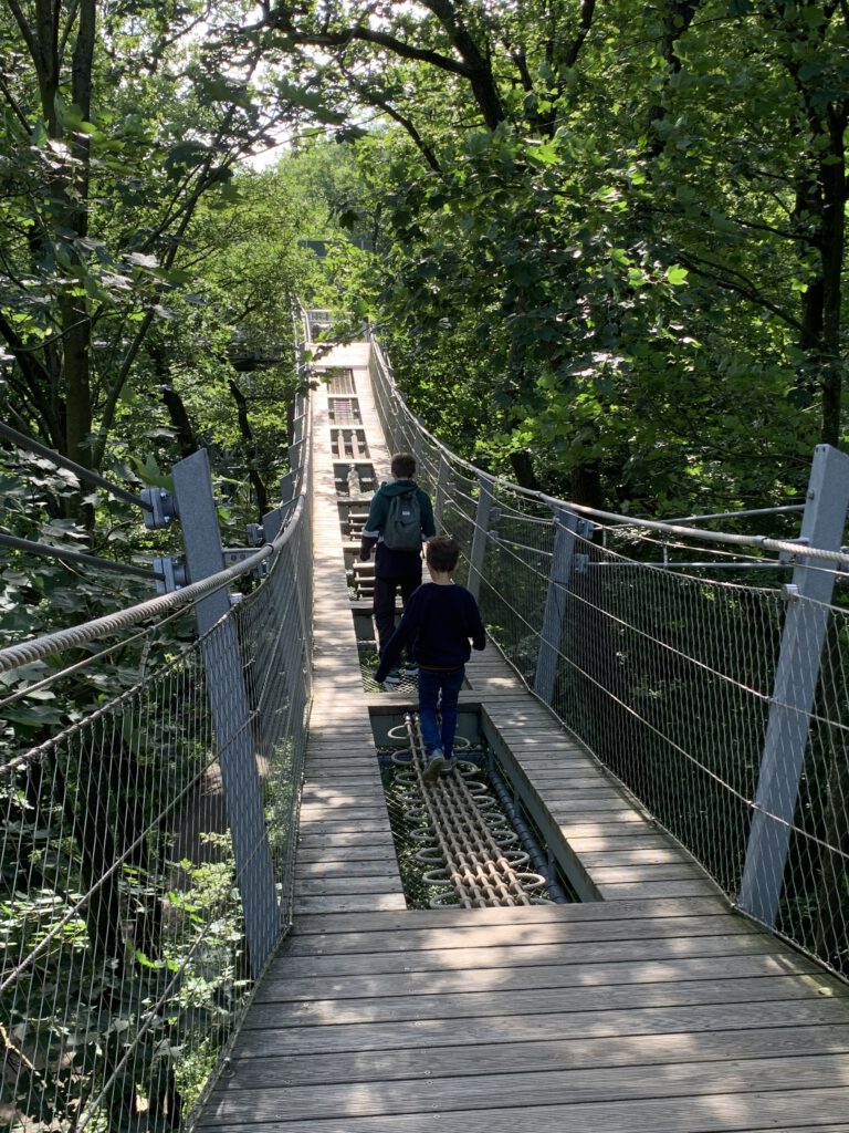 Urlaub mit Kindern im Harz - Ausflug zum Baumwipfelpfad