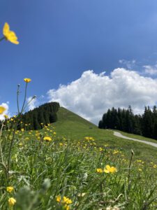 Tagesausflugstipp für Familien - Wanderung auf dem Hörnle