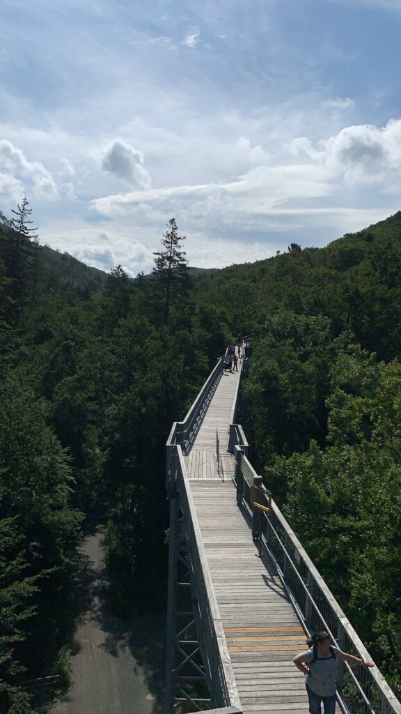 Familienausflugstipp - Baumwipfelpfad im Harz