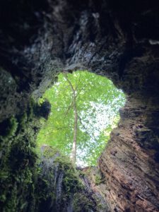 Urlaub in der Region Starnberger See Ammersee - Die Maisinger Schlucht