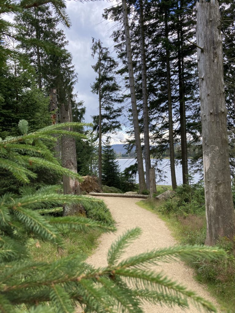 Oderteich Talsperre - Ausflugsziel im Harz