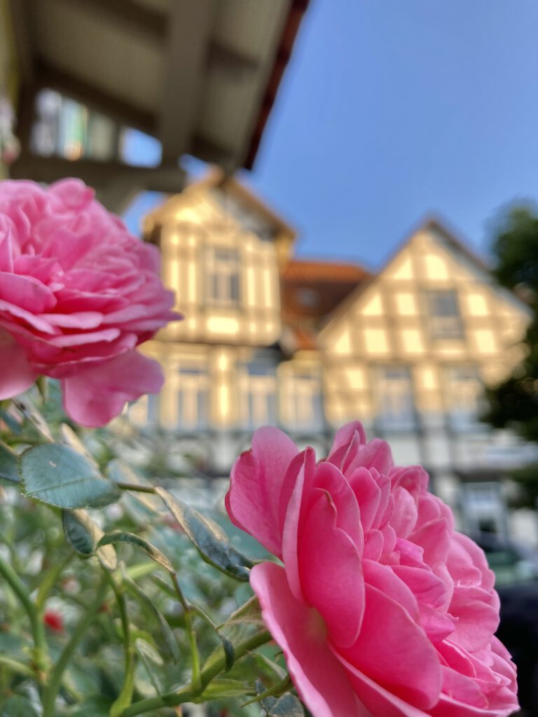 Impressionen der Altstadt in Wernigerode - Harz Urlaub