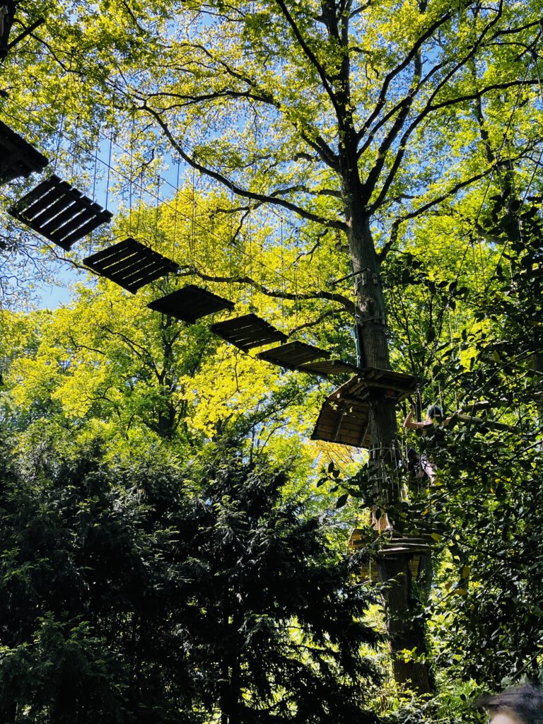 Patchwork Deluxe - Kletterwald - Fun Forest